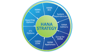 SAP HANA Database Backup Strategy
